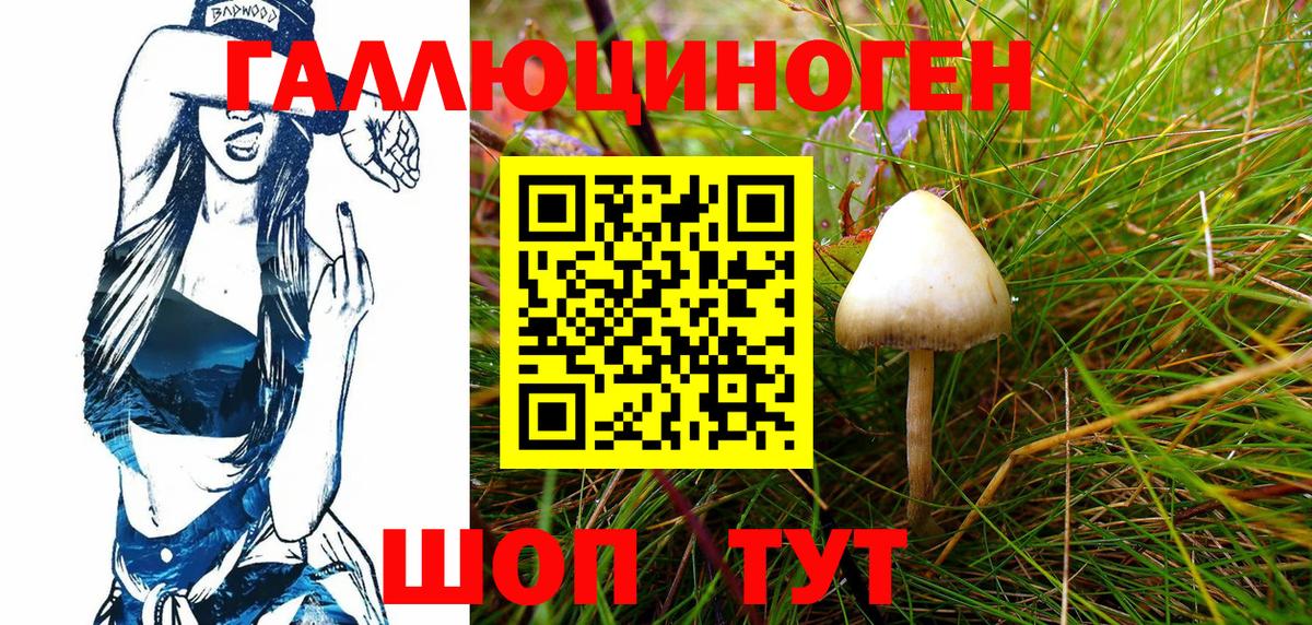 Галлюциногенные грибы Psilocybine cubensis Канаш
