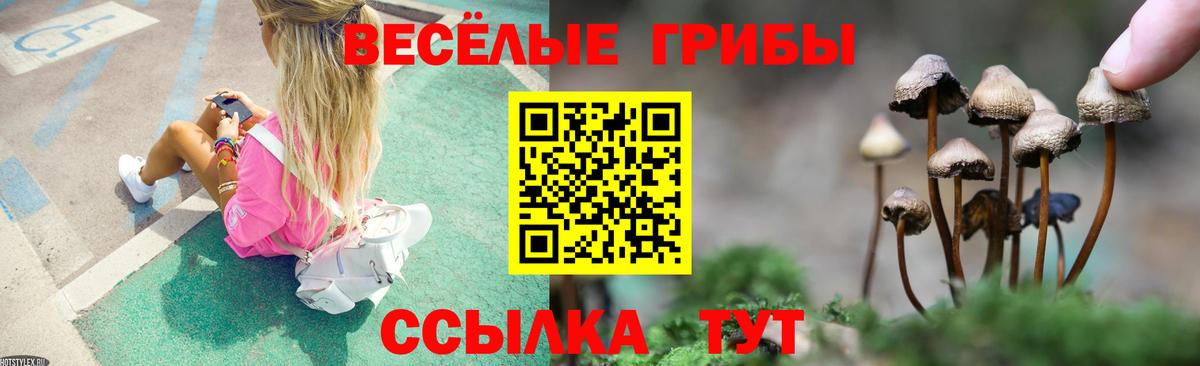 даркнет сайт  Псилоцибиновые грибы мицелий  Вход с VPN  Канаш  Псилоцибиновые грибы ЛСД 